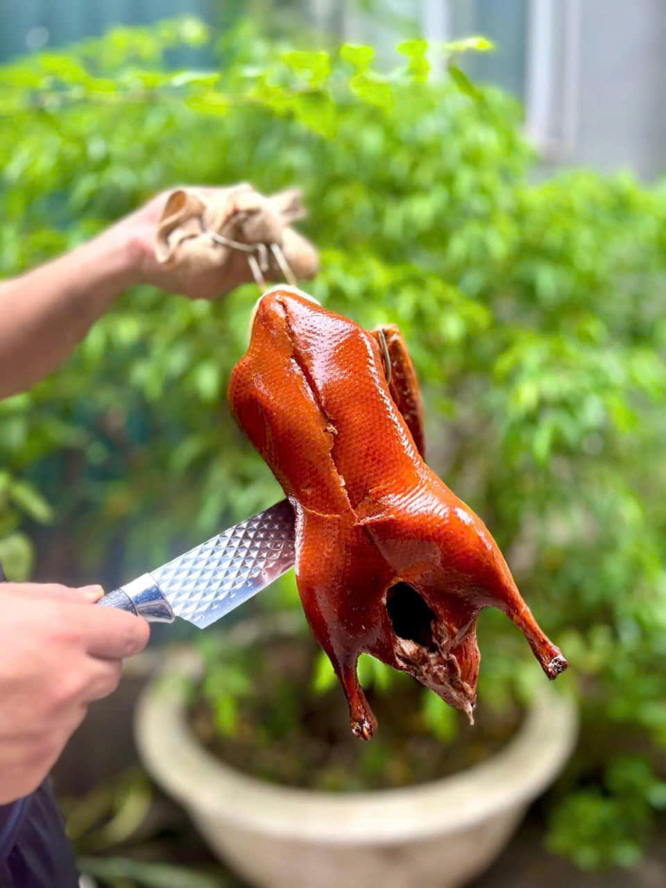 Xem Ảnh Lớn