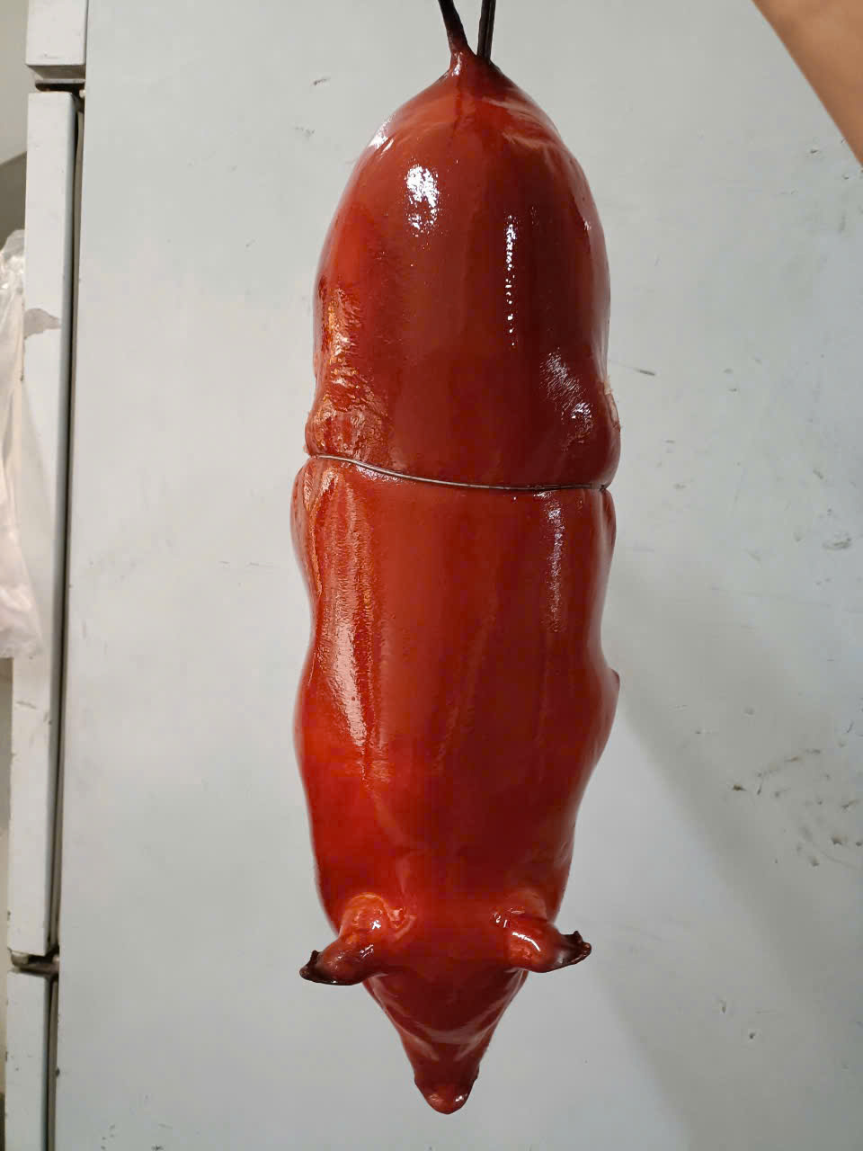 Xem Ảnh Lớn